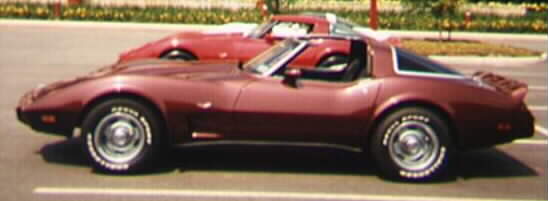 vette2.JPG