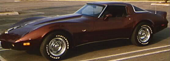 vette9.JPG